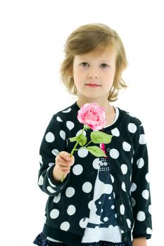 Beautiful little girl with a flower in her hands. The concept of beauty and fashion, happy childhood. Isolated on white background.