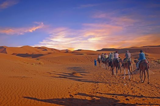 Camel caravan going through the Sahara Desert in Morocco Africa