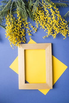Spring concept, top view. Mimosa, a sheet of yellow paper and a gold frame on a blue background. Mimosa close-up. Happy spring. Space for text.