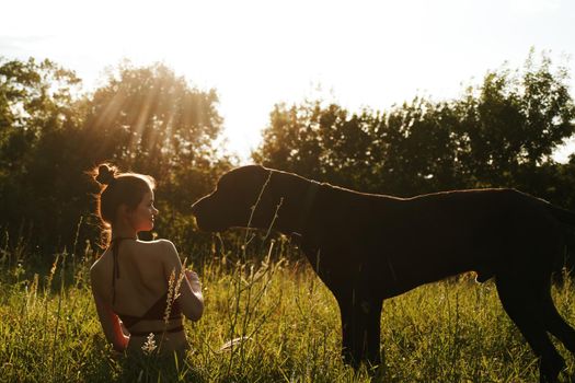 cheerful woman playing with a dog in a field in nature in summer. High quality photo