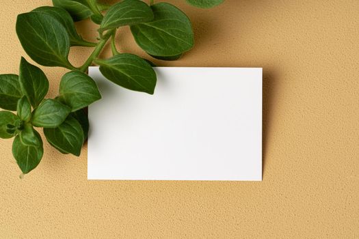Blank white business card with copy space for your design, close up