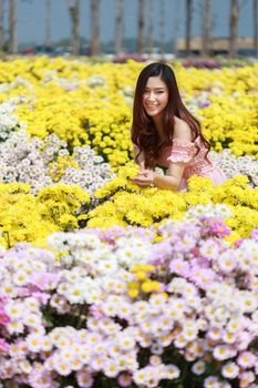 beautiful woman in colorful chrysanthemum glower garden 