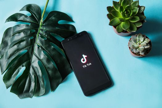 Tver, Russia-February 28, 2020 tik tok logo on the smartphone screen with a monstera leaf and succulents on a blue background. Tik Tok icon. tick Tok app. Tiktok social network.