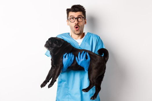 Vet clinic concept. Amazed male doctor veterinarian holding cute black pug dog, smiling and staring up impressed, standing over white background.