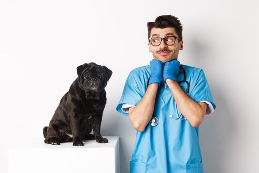 Image of handsome male doctor veterinarian looking at cute black pug dog sitting on table, admiring puppy cuteness, standing over white background.