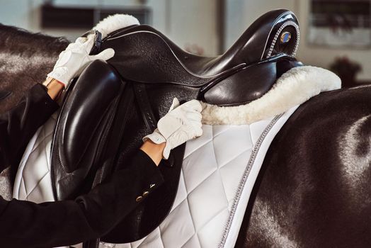 woman jockey with his horse in uniform for Dressage. close up