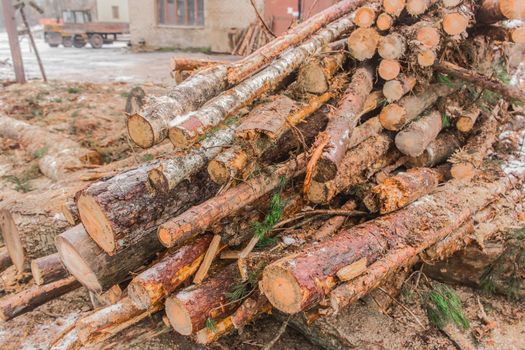 A bunch of sawn wooden logs of trees outdoor.