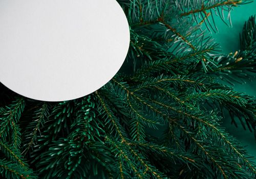 Christmas green background. Pine branches, needles and Christmas trees. View from above. Round frame with place for text. Christmas nature background. December mood concept. Copy space.