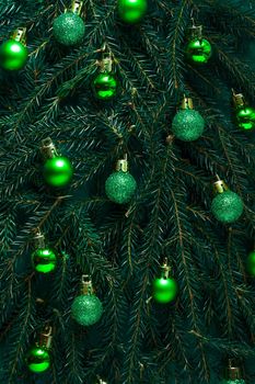 Christmas green background. Pine branches, needles and Christmas trees With green balls. View from above. Round frame with place for text. Christmas nature background. December mood concept.