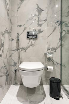 Toilet bowl near shower stall in modern bathroom interior in hotel