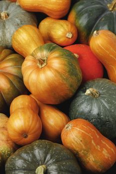 Many multicolor pumpkins, autumn seasonal decorative background close up