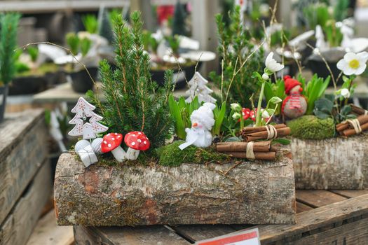 Christmas composition with hyacinths and snowman