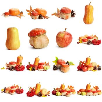 Banner of autumn yellow, orange and red vegetables and fruits isolated on white background, top view, flat layout. Creative pattern