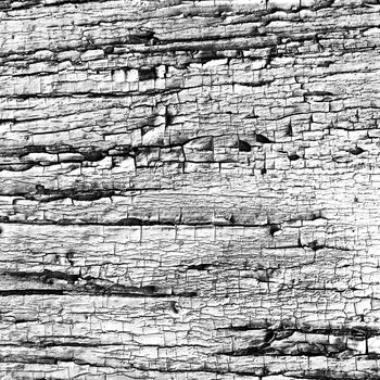 Modern Cracking Paint. Shabby Texture. White Break Desk. Antique Natural Wallpaper. Gray Cracking Paint. Grunge Painted Lumber. Abandoned Wall. Old Plaster Structure. Cracking Paint.