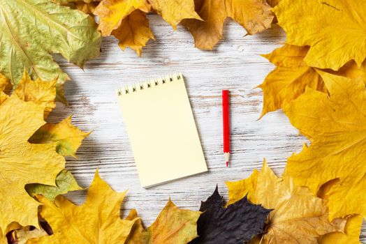 Spiral notepad and pen lies on vintage wooden desk with bright foliage. Flat lay composition with autumn leaves on white wooden surface. Day planning and relaxation. Blank notepaper with copy space