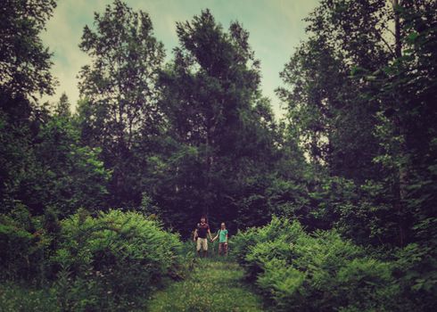 Hiker young couple walking among beautiful old trees in the summer forest