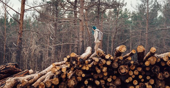 Traveler young woman with backpack walking on stack of felled tree trunk in the forest