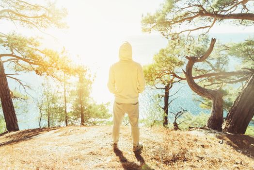 Young man standing on coast in the forest among pine trees and looking at sea in sunny day, rear view