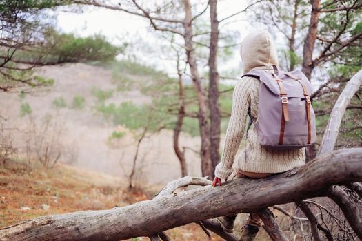 Traveler girl wearing in jacket hood with backpack sitting on tree trunk in the forest, rear view