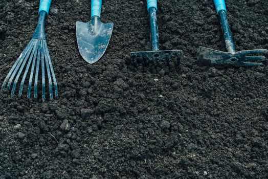 Tools for gardening on soil, top view, space for text