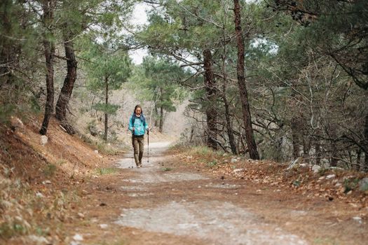 Hiker young woman with trekking poles walking on path among pine trees in summer forest
