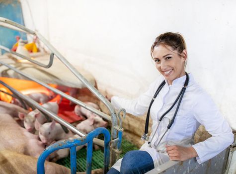 Young veterinarian wearing lab coat and stethoscope smiling. Woman doctor sitting in pig nursery.