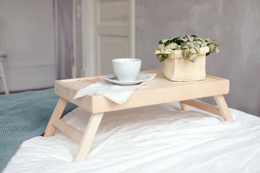 White porcelain cup and houseplant in knitted pot cover on wooden breakfast tray in cozy bed