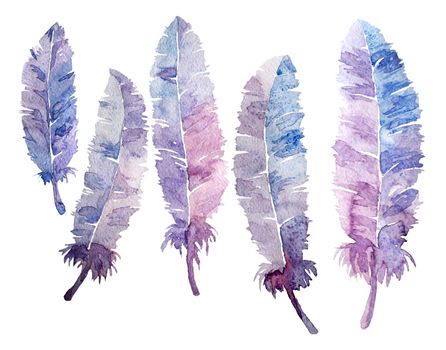 Watercolor feathers set. Colorful feathers with watercolor texture . White background