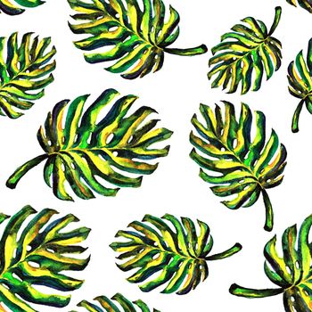 Seamless pattern of leaves monstera. Watercolor sheet