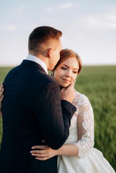 the groom and the bride walk along the wheat green field on a bright day