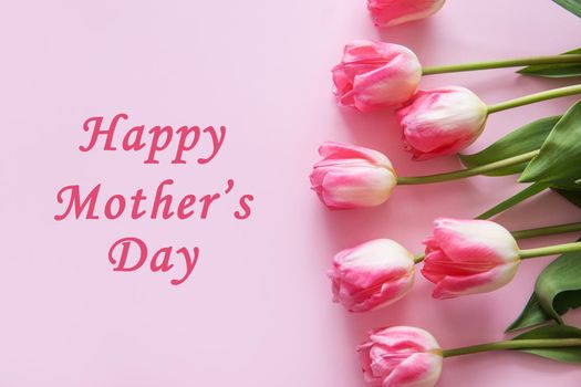 Pink Tulips flowers are arranged on a pink background. The view from the top, flat bed. The concept of minimalism. Empty space for the text. Spring concept. Text Happy Mother's day.