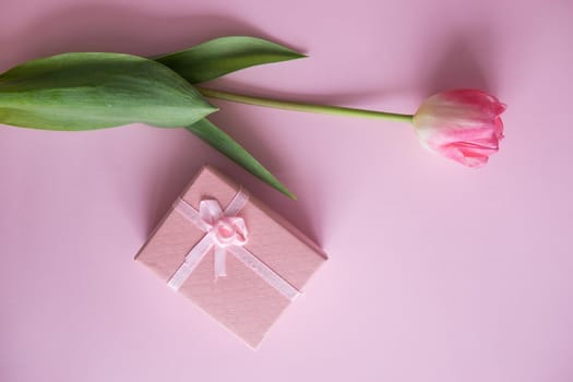 Pink Tulip flower and gift box are located on a pink background. The view from the top, flat bed. The concept of minimalism. Empty space for the text. Spring concert. Women's day. Mother's day.
