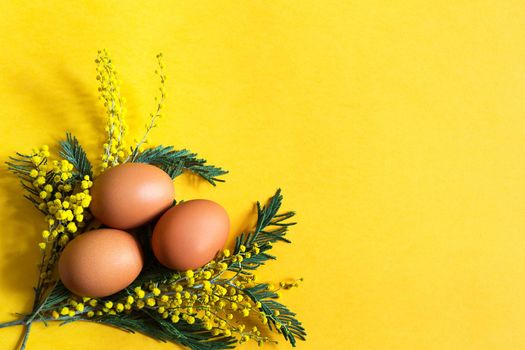 Brown chicken eggs on a yellow background and a branch of mimosa with shadows. Easter spring background. Copy space