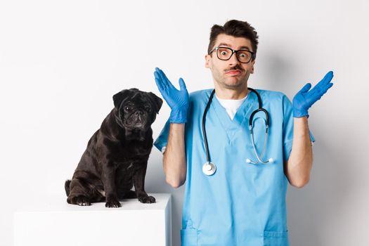 Clueless doctor veteriantian in scrubs shrugging, staring at camera confused while dog sitting on examination table and waiting for check-up, white background.