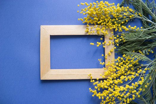 Spring concept, top view. Mimosa and gold frame on blue background. Mimosa close-up. Happy spring. Space for text.