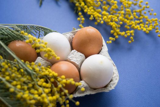 Easter background, eggs on a blue background, decorated with Mimosa flowers, flatlay, top view, happy Easter.