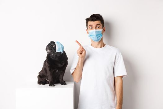 Covid-19, animals and quarantine concept. Dog owner and cute black pug wearing medical masks, man pointing and puppy staring at upper left corner, white background.