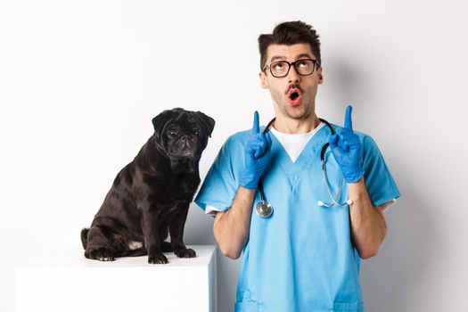 Handsome young doctor at vet clinic pointing fingers up and looking amazed, standing near cute black pug dog, white background.