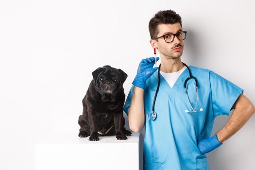 Handsome doctor veterinarian holding syringe and standing near cute black pug, vaccinating dog, white background.