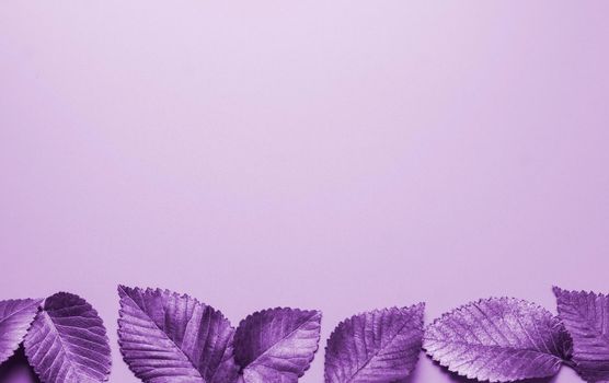 Leaves tinted purple horizontally from above. Autumn concept. Top view of autumn leaves in purple tinted with copy space for text at the bottom