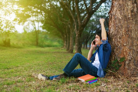 cheerful man talking on mobile phone with hand raised in the park