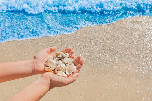 The hands of a young girl hold a pile of shells against the background of the blue sea on the beach close-up.