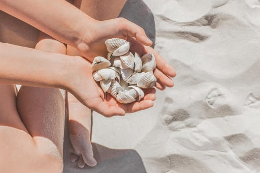 The hands of a young girl hold a pile of shells sitting on the white beach sand to copy the space.