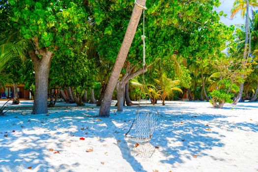 Maldives. Paradise on earth.Empty hammock between palms trees at sandy beach. View of nice tropical beach with palms around. Holiday and vacation concept