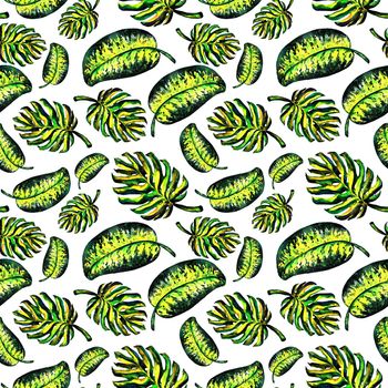 Seamless pattern of leaves monstera. Watercolor sheet