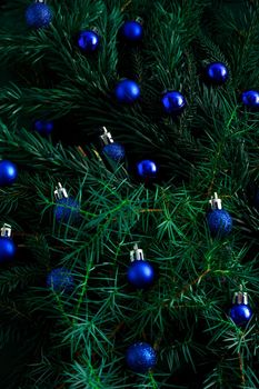 Christmas green background. Pine branches, needles and Christmas trees with blue balls. View from above. Round frame with place for text. Christmas nature background. December mood concept.