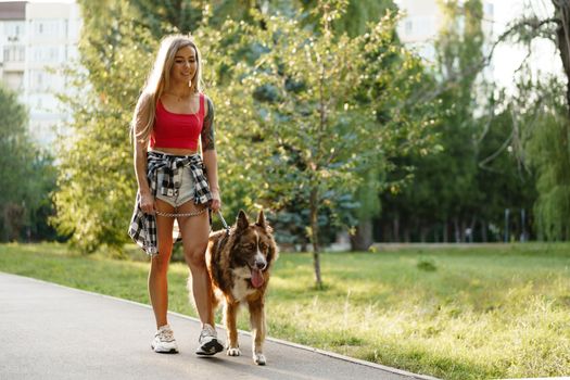 Border Collie dog on a walk in park with it's female owner, close up