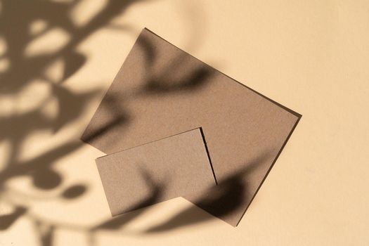Blank white businesscard on beige background with creative floral shadow, copy space