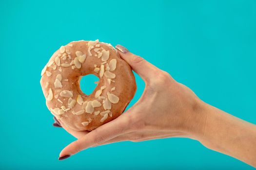 Crop female hand holding sweet almond donut isolated on blue background