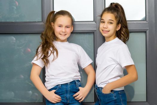 Two beautiful little girls of school age posing in the studio near a large panoramic window. Outside the window it is already evening, dark, the concept of tenderness and beauty.